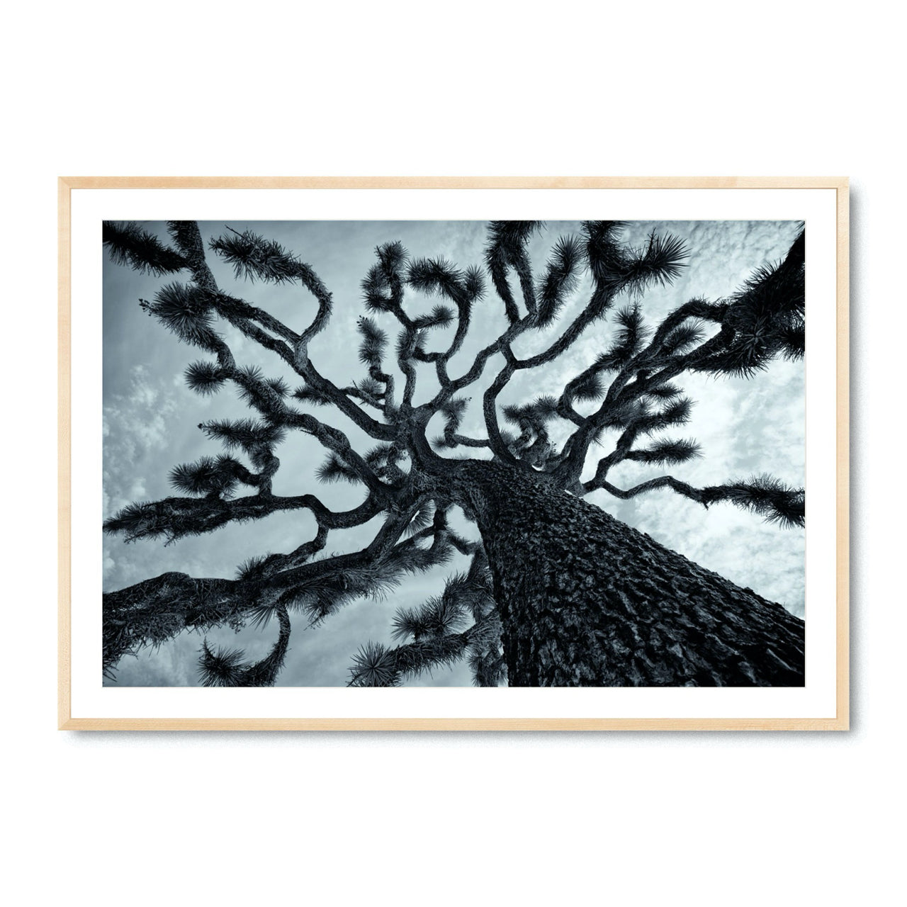 Joshua's Reach - Fine Art Print