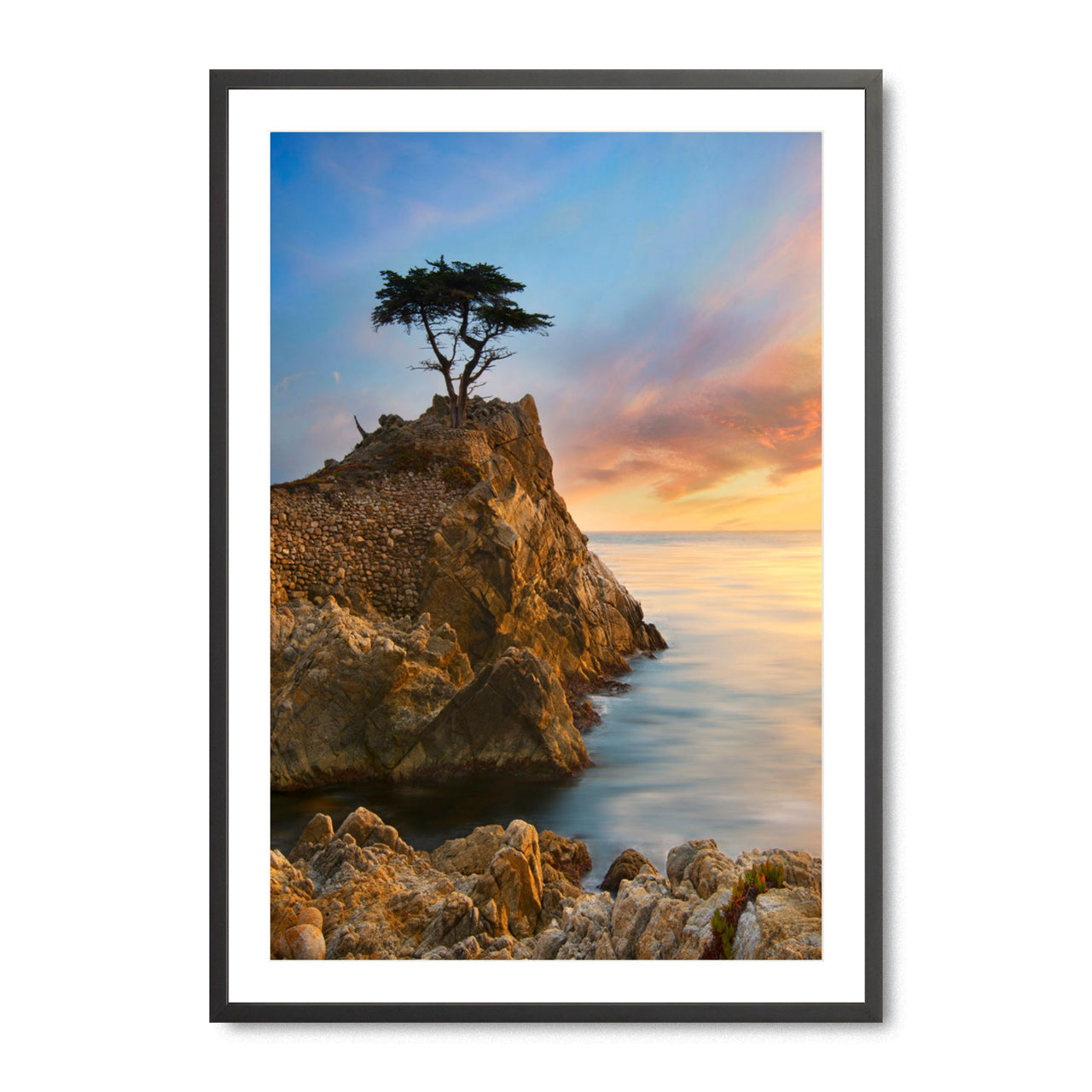 Lone Cypress - Fine Art Print