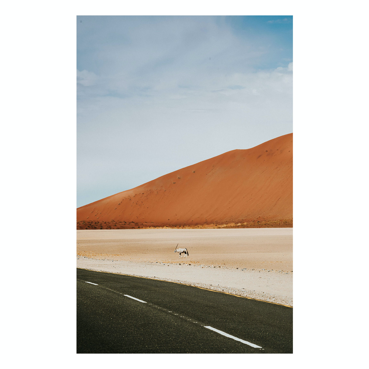 "Oryx" Desert Fine Art Photography