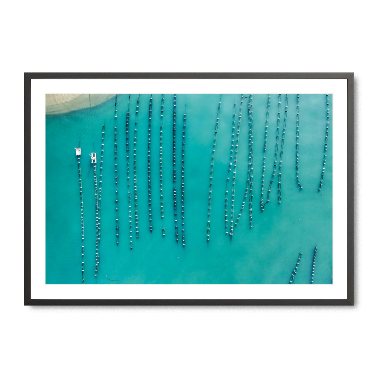 Oyster Beads - Fine Art Print