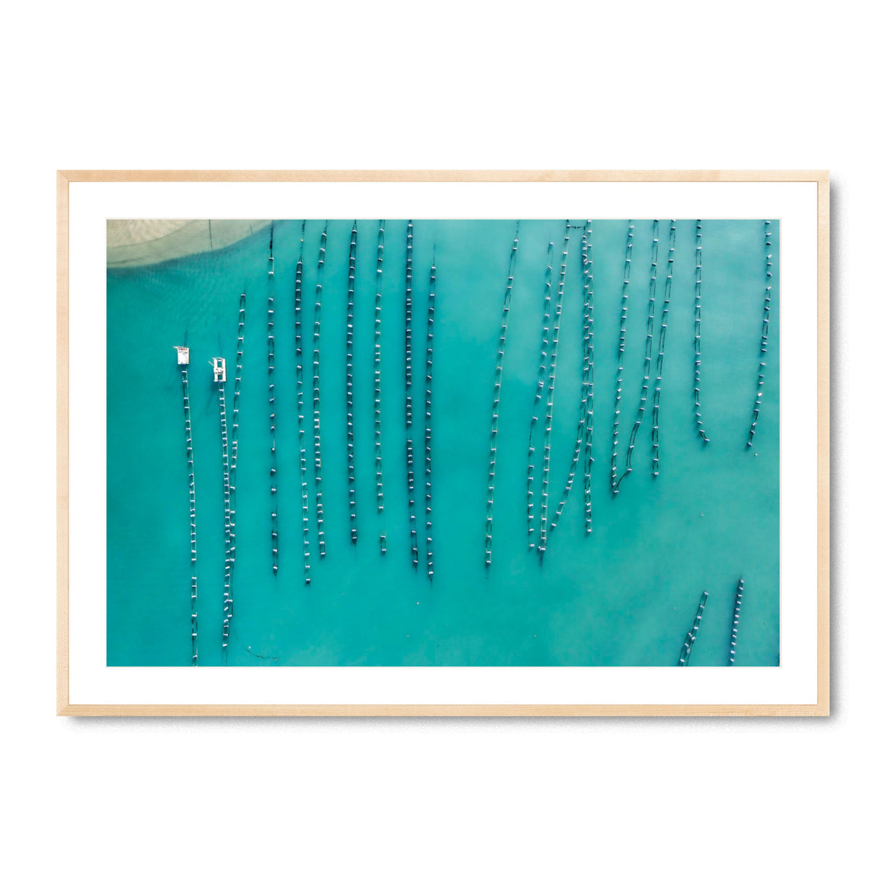 Oyster Beads - Fine Art Print