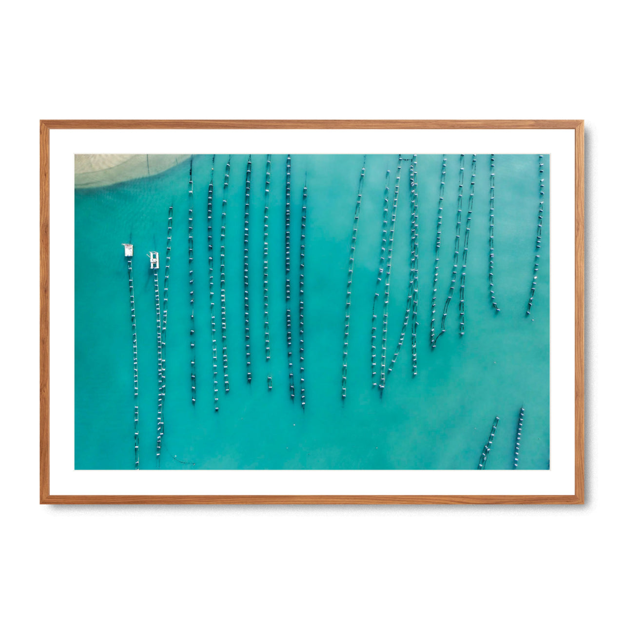 Oyster Beads - Fine Art Print