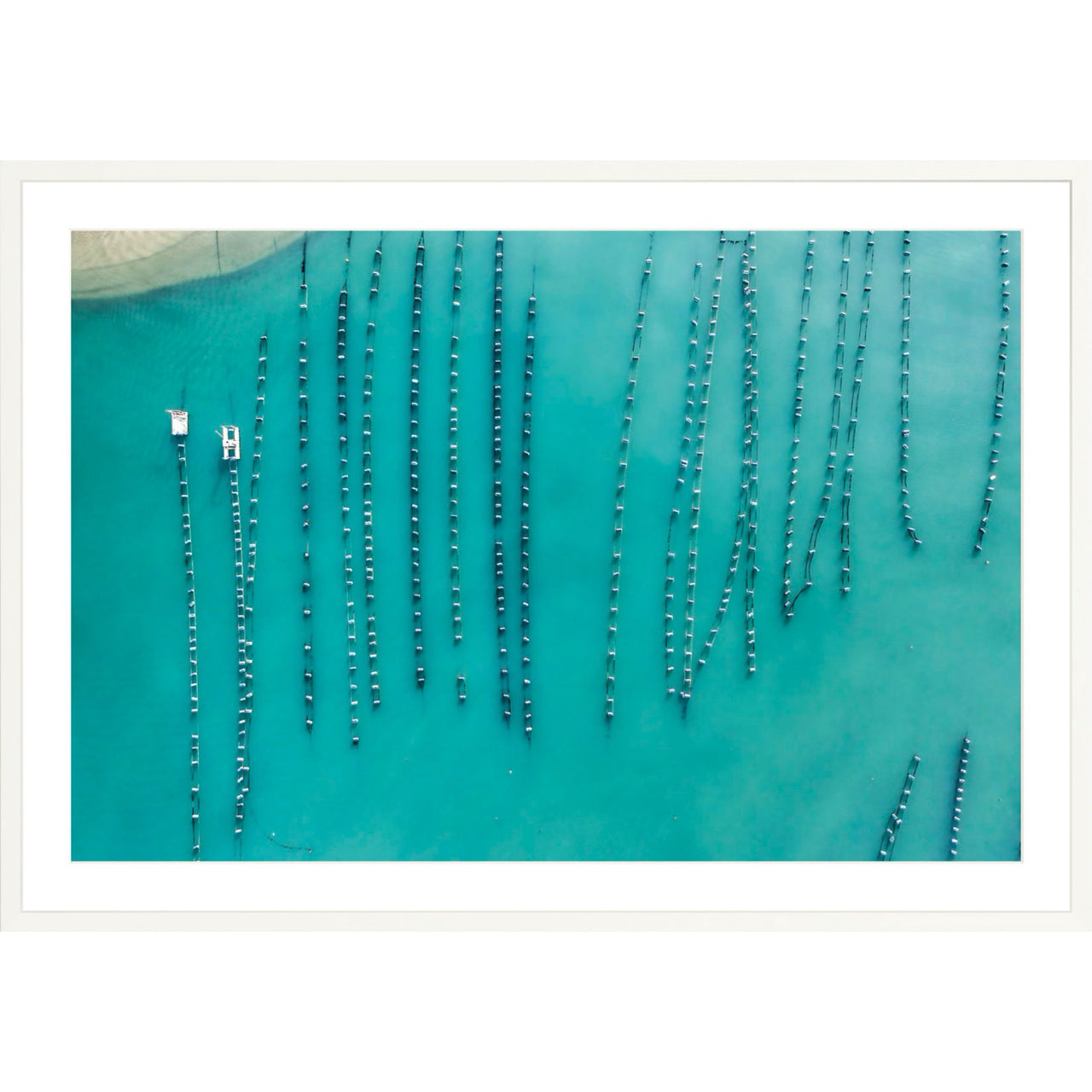 Oyster Beads