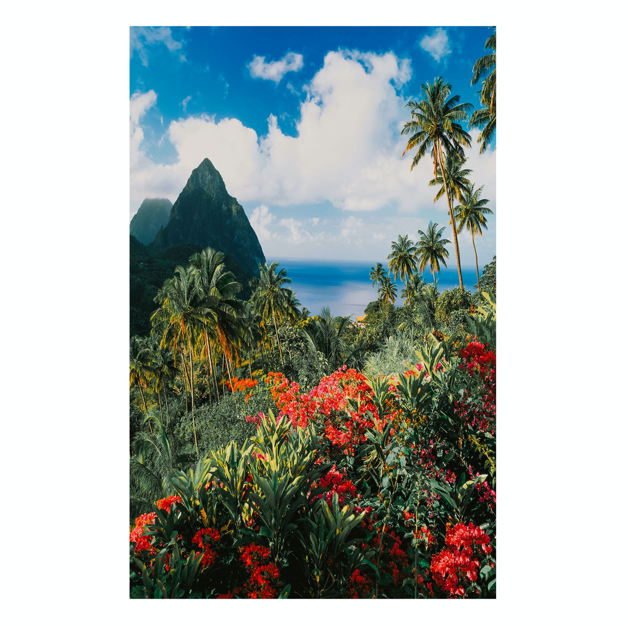 "Paradise" Tropical Hawaii Photography Print