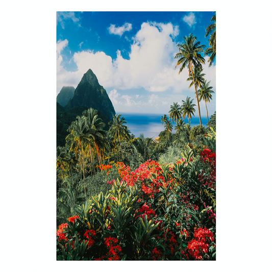 "Paradise" Tropical Hawaii Photography Print
