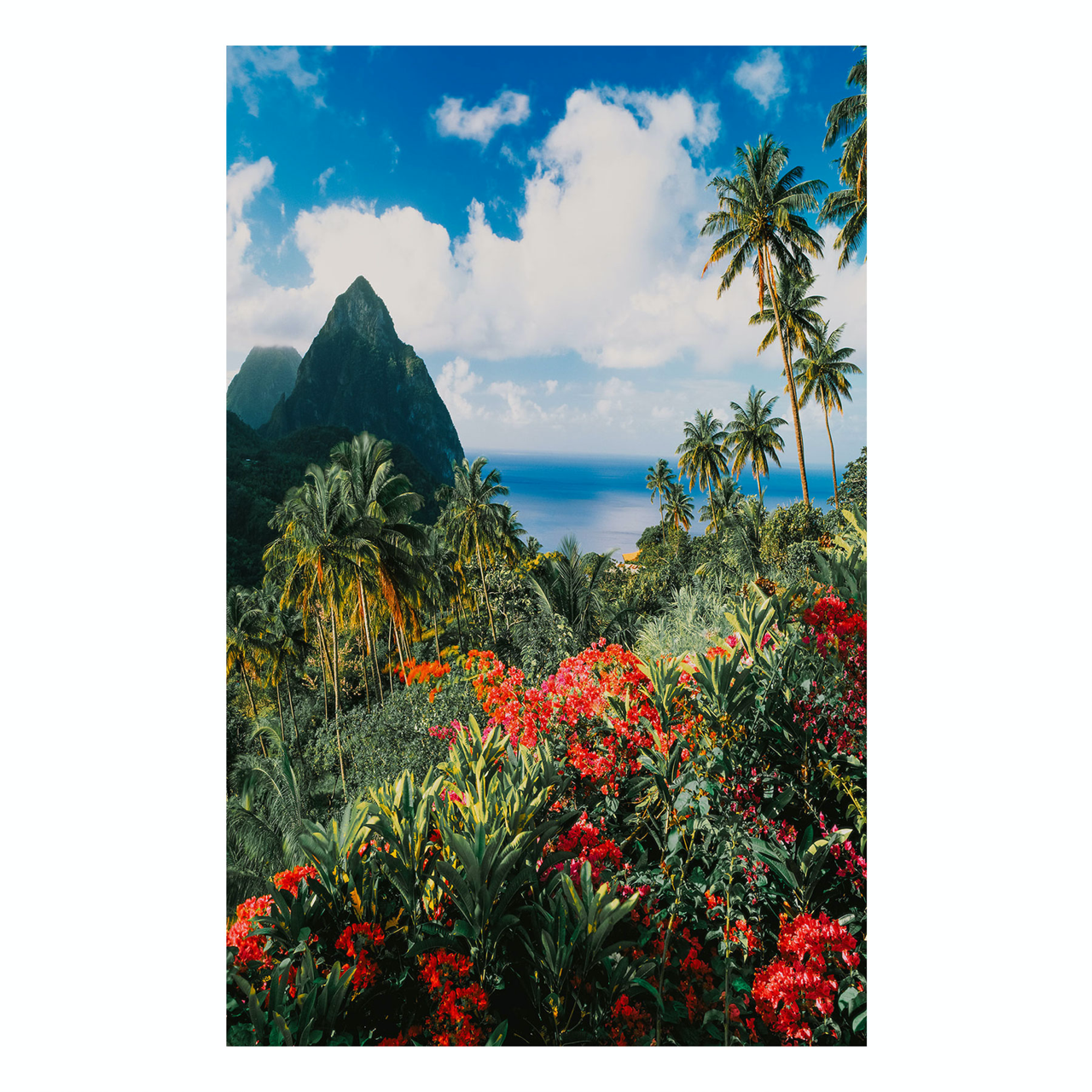 "Paradise" | Nature Photography Print