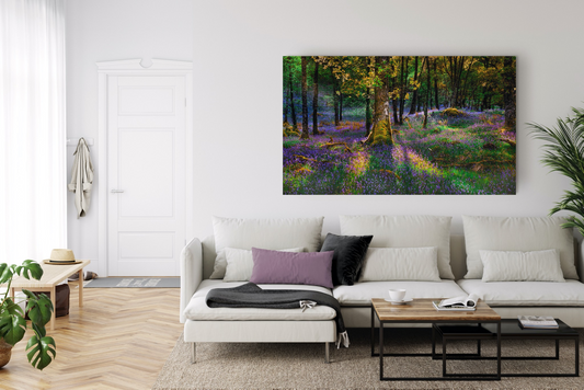"Rhapsody in Color" Nature Photography Print