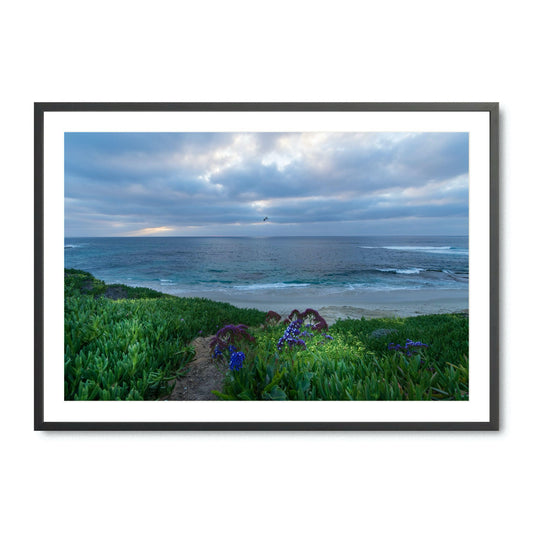 Serenity's Edge - Fine Art Print