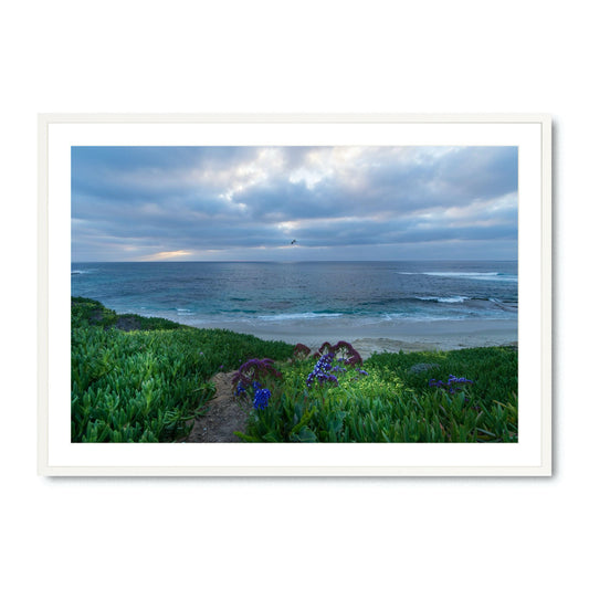 Serenity's Edge - Fine Art Print