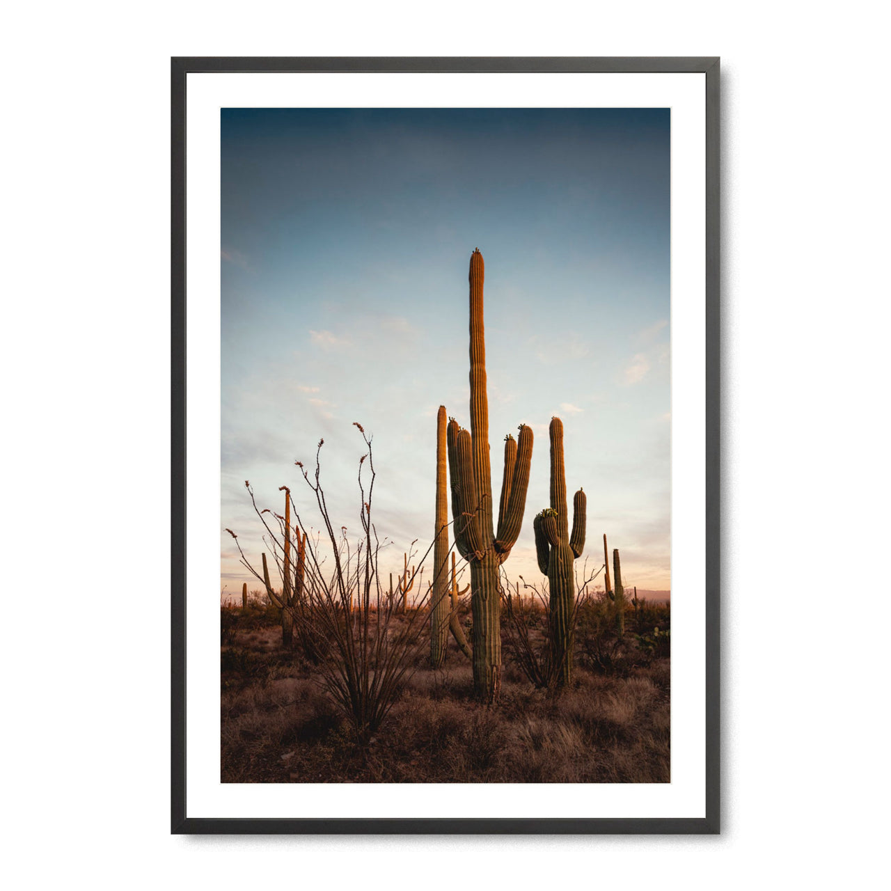 Sonoran’s Gentle Farewell - Fine Art Print