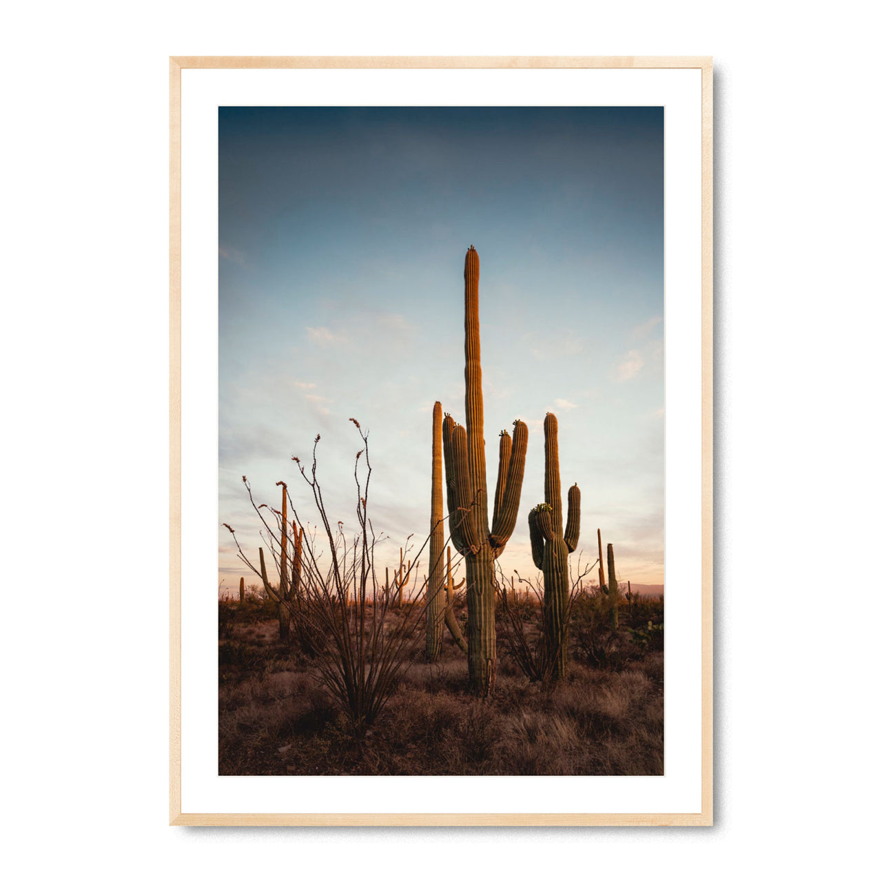 Sonoran’s Gentle Farewell