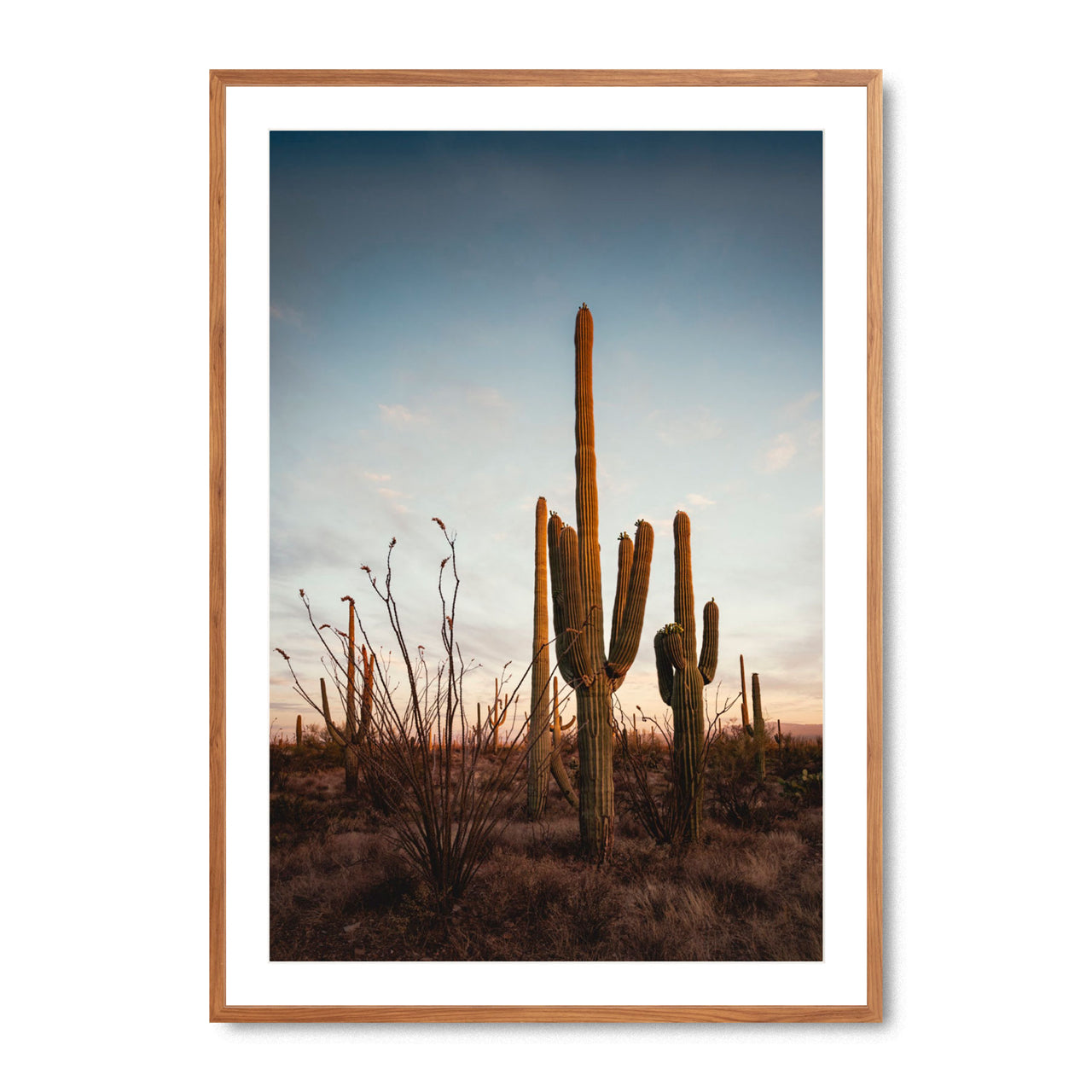 Sonoran’s Gentle Farewell - Fine Art Print