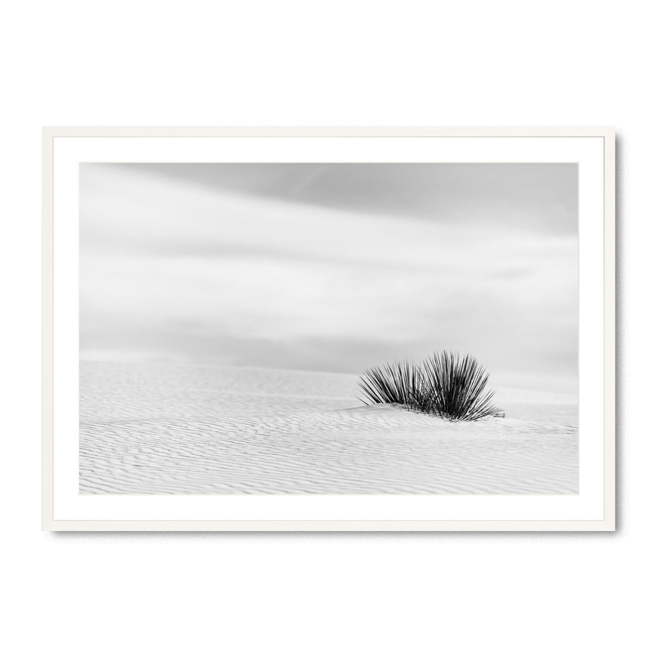 Still Standing - Fine Art Print