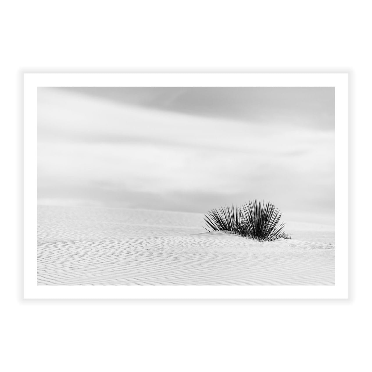 Still Standing - Fine Art Print