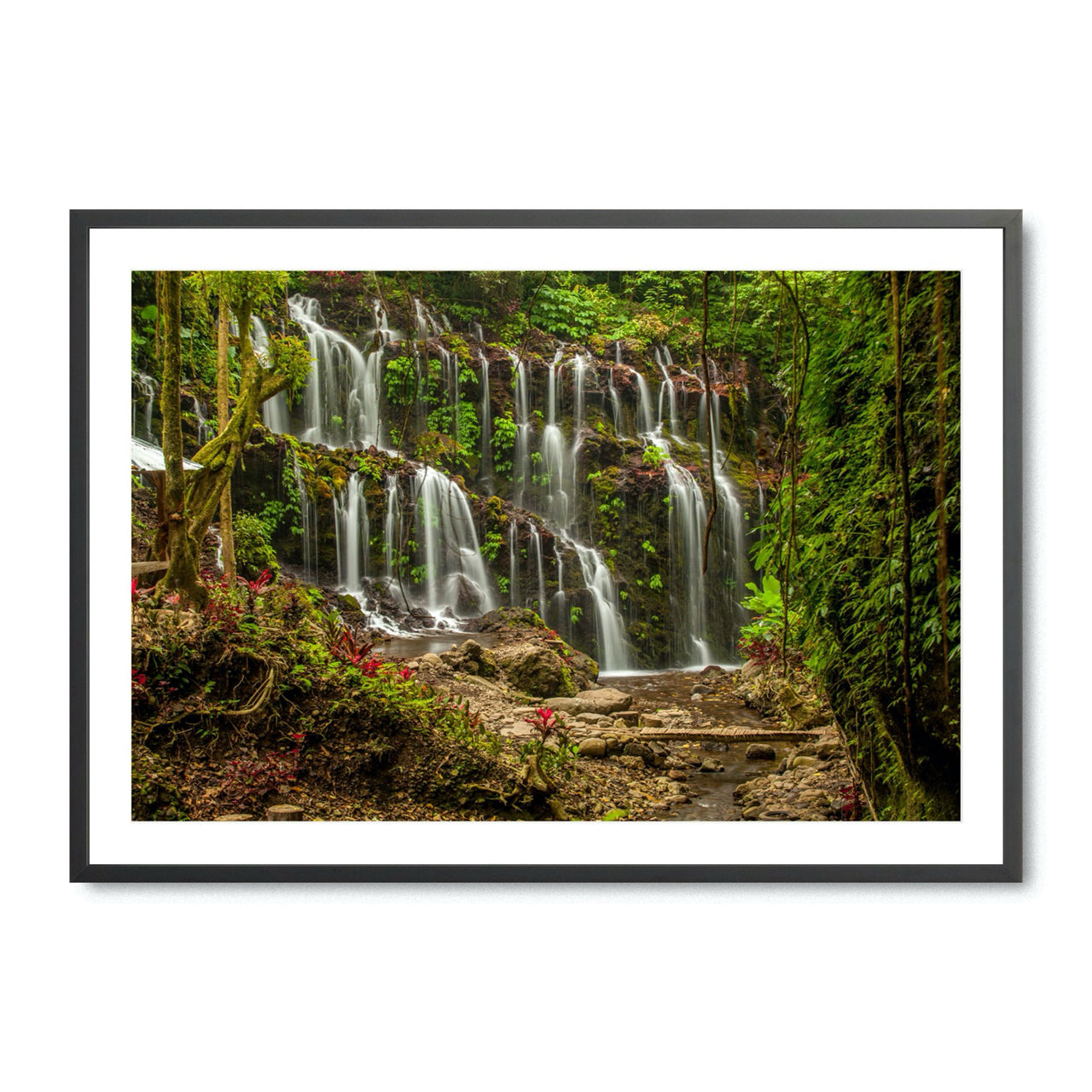 Tropical Flow - Fine Art Print