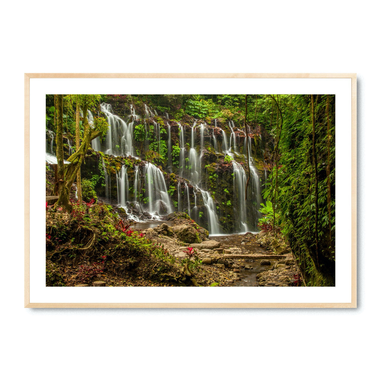 Tropical Flow - Fine Art Print