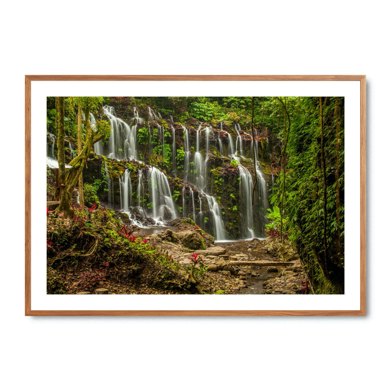 Tropical Flow - Fine Art Print