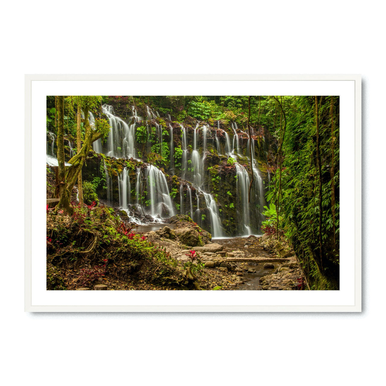 Tropical Flow - Fine Art Print