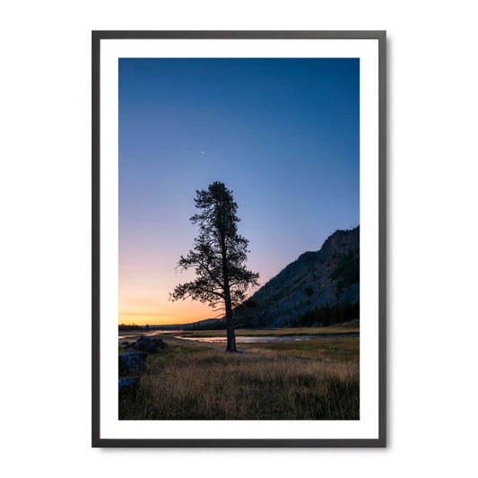 Twilight in Yellowstone - Fine Art Print