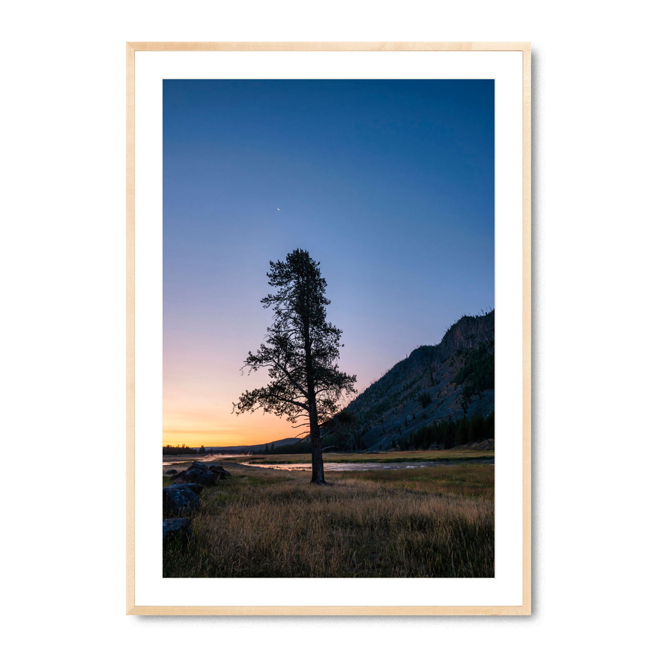 Twilight in Yellowstone