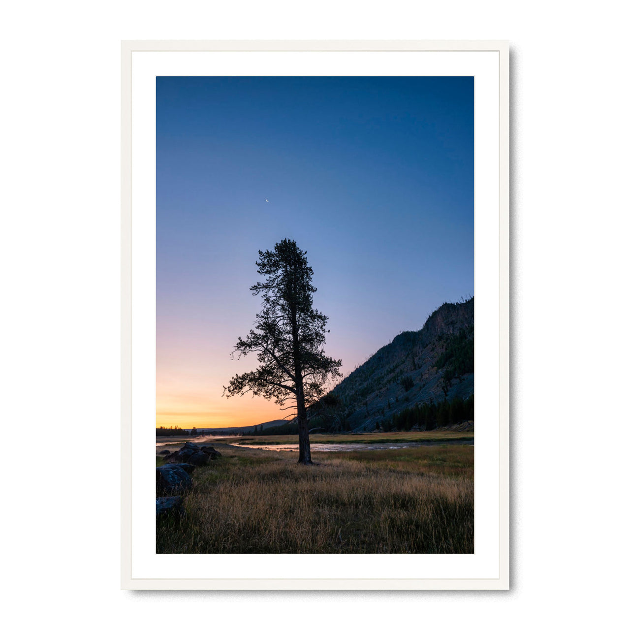 Twilight in Yellowstone