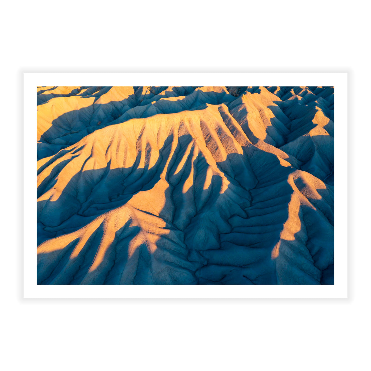 Veins of the Desert - Fine Art Print