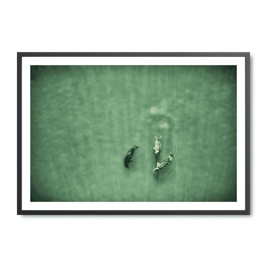 Water Ballet - Fine Art Print