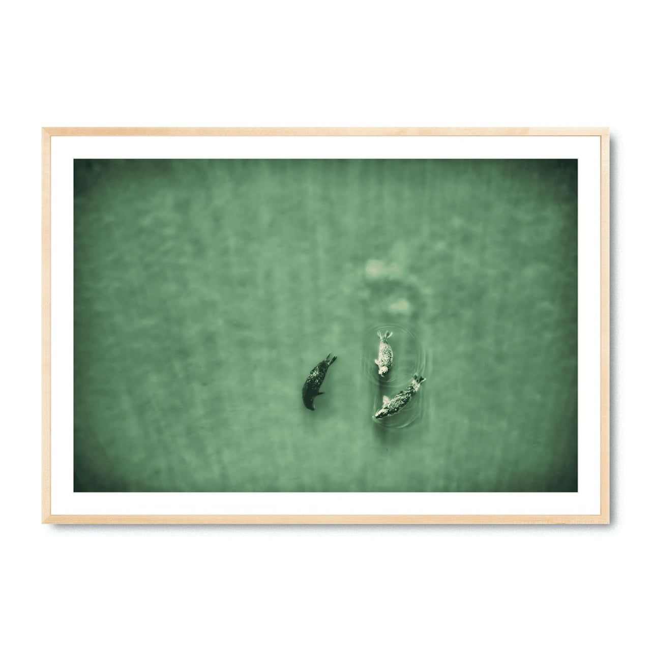 Water Ballet - Fine Art Print