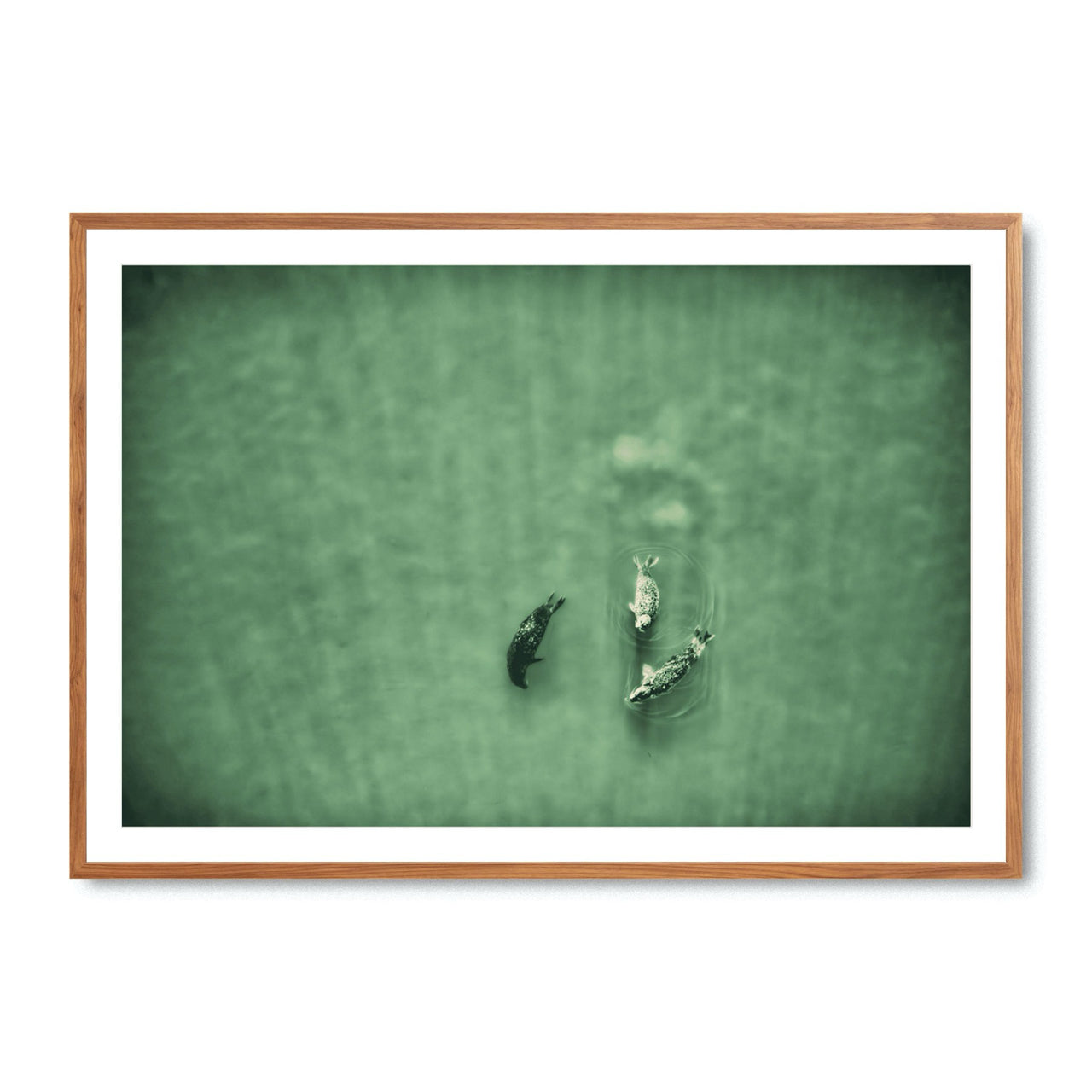 Water Ballet - Fine Art Print