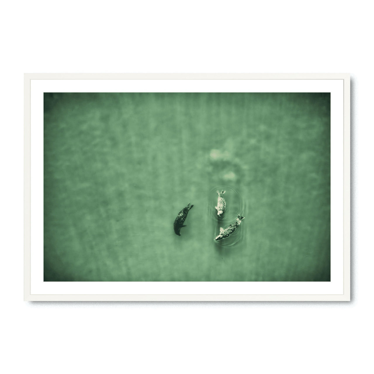 Water Ballet - Fine Art Print