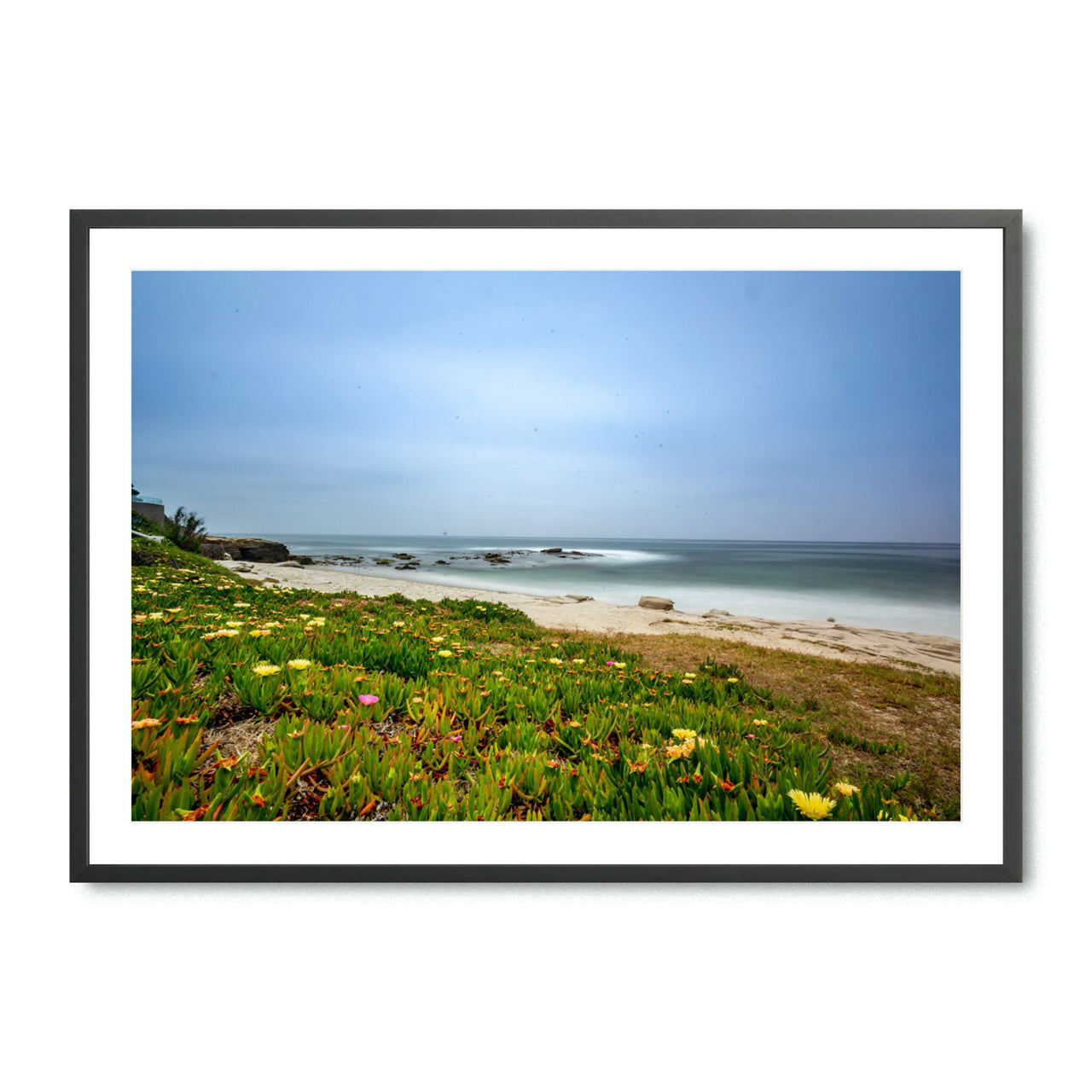Windansea - Fine Art Print