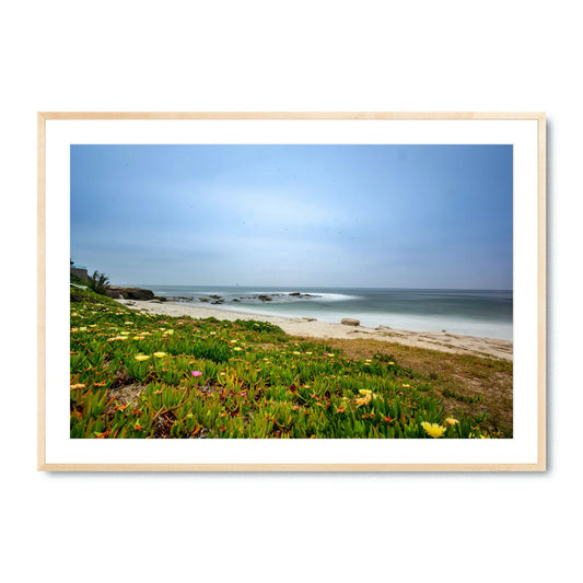 Windansea - Fine Art Print