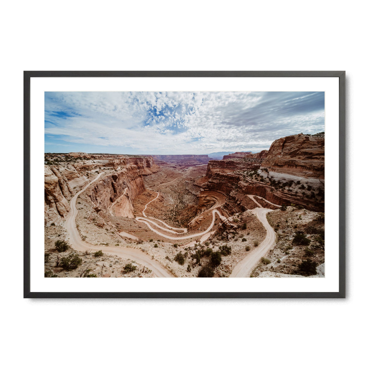 Winding Roads of Canyonlands - Fine Art Print