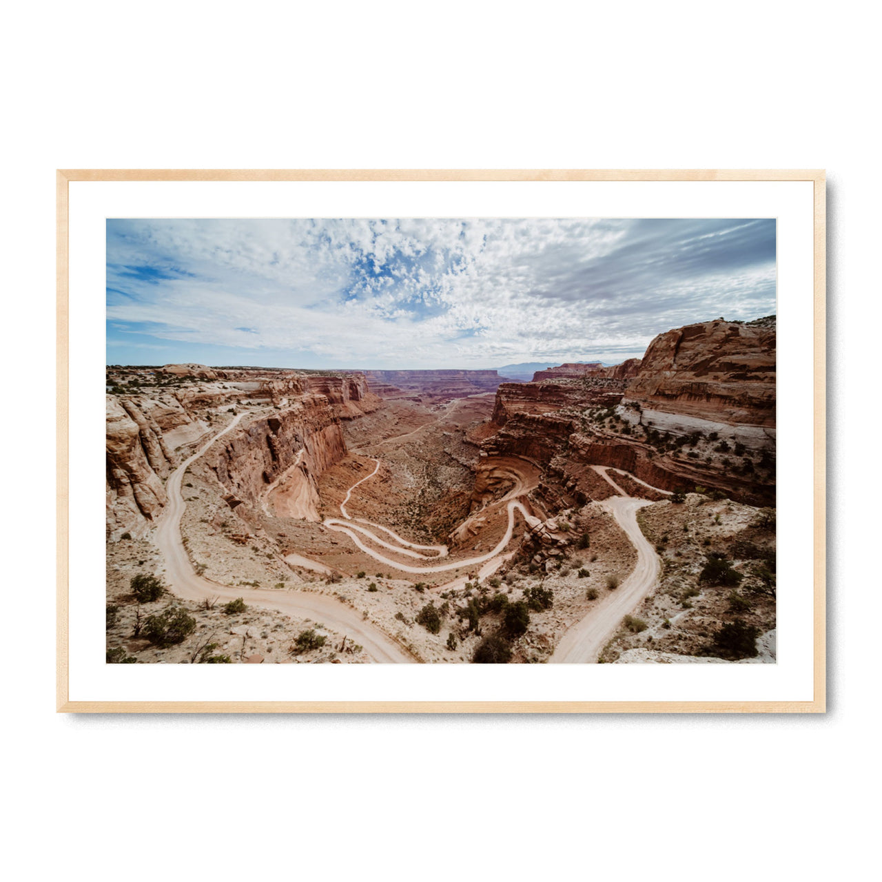 Winding Roads of Canyonlands - Fine Art Print