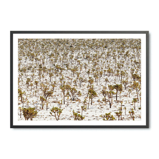 Winter Wonderland - Fine Art Print