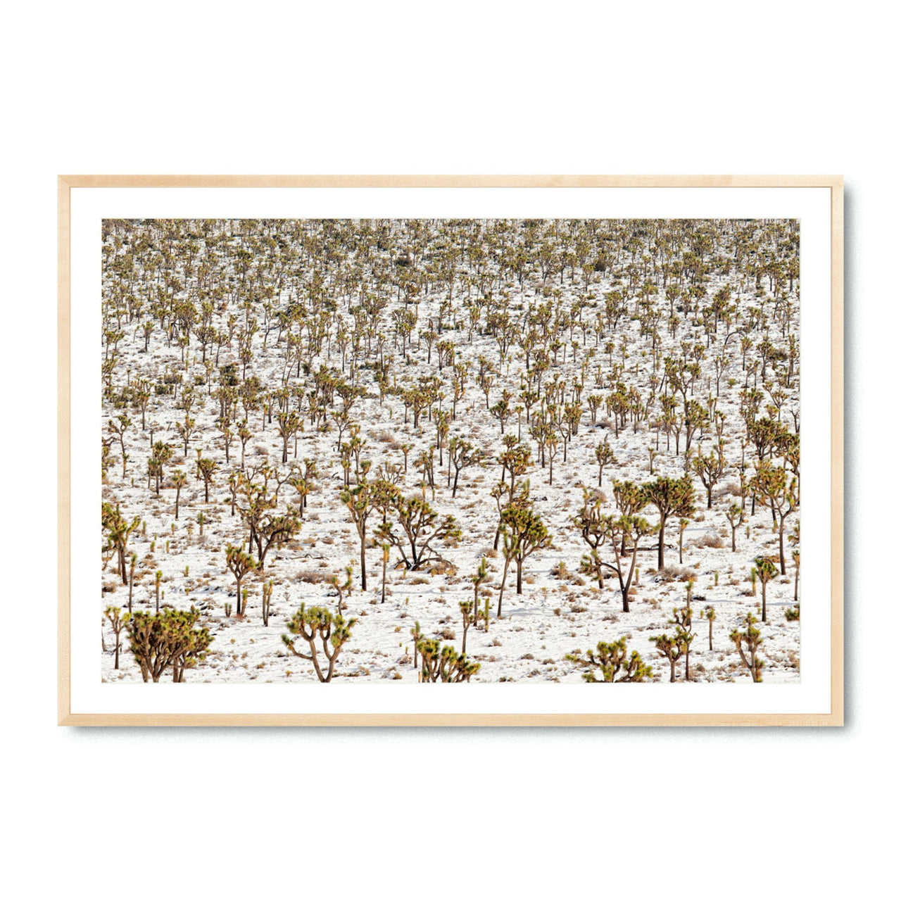 Winter Wonderland - Fine Art Print