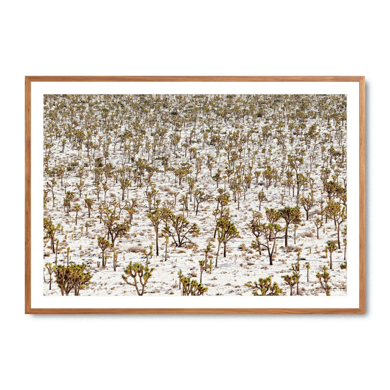 Winter Wonderland - Fine Art Print