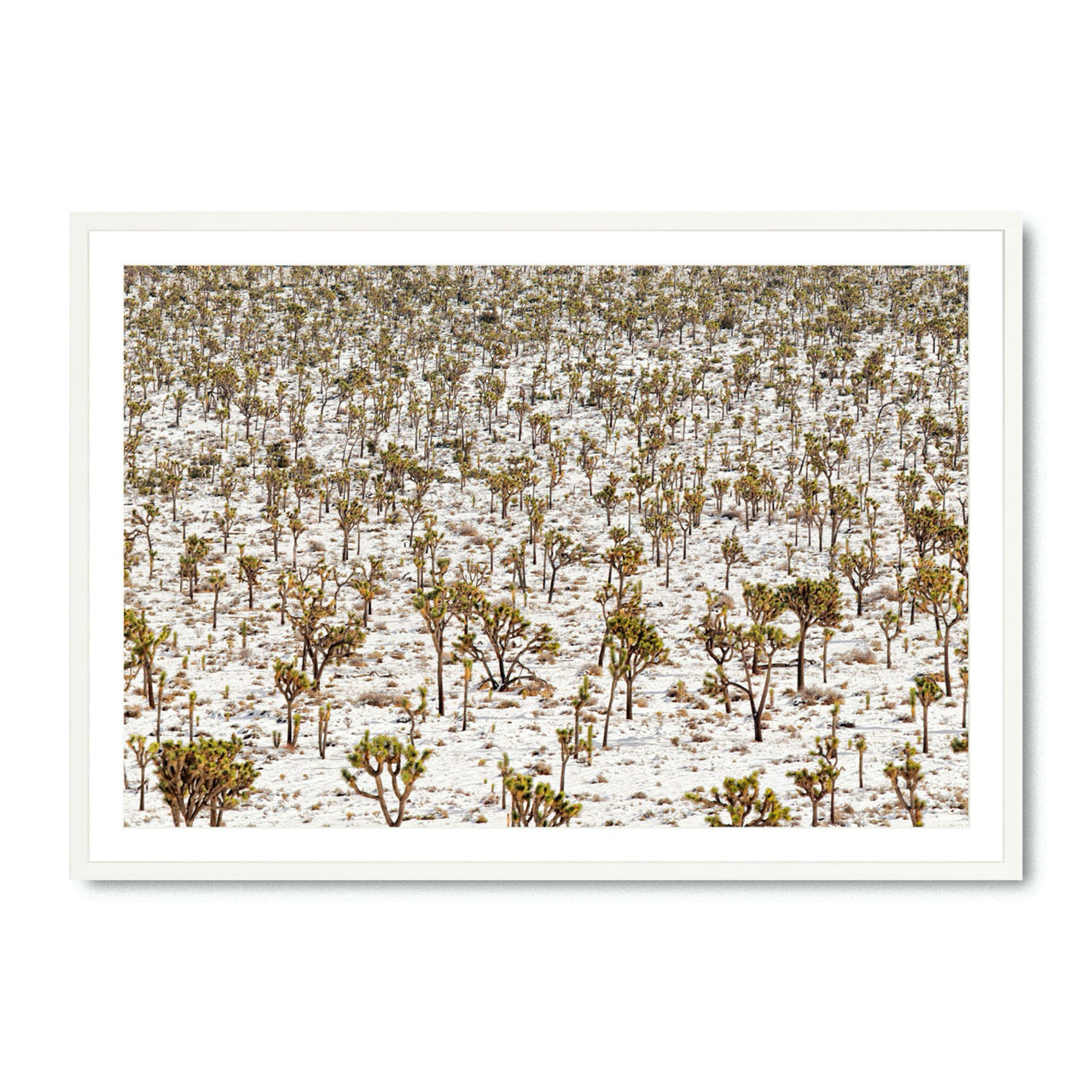 Winter Wonderland - Fine Art Print