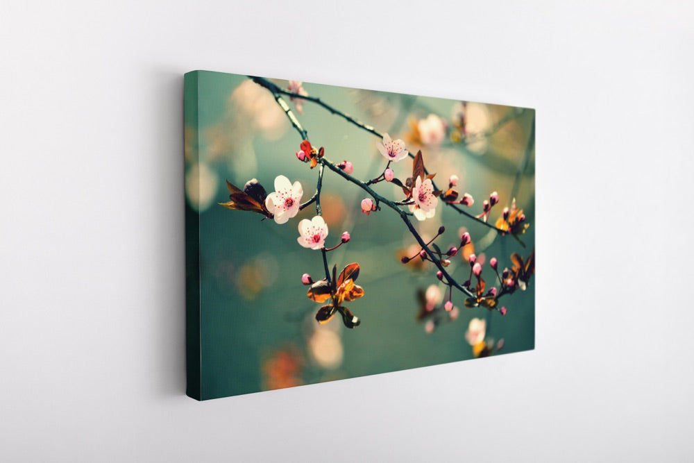 "Cherry Blossoms" | Flower Photography Print