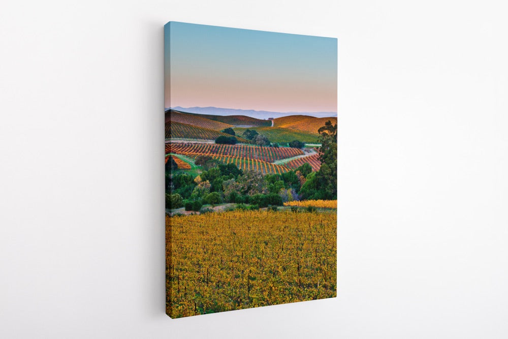 "Chromatic Valley" | Vineyard Photography Print
