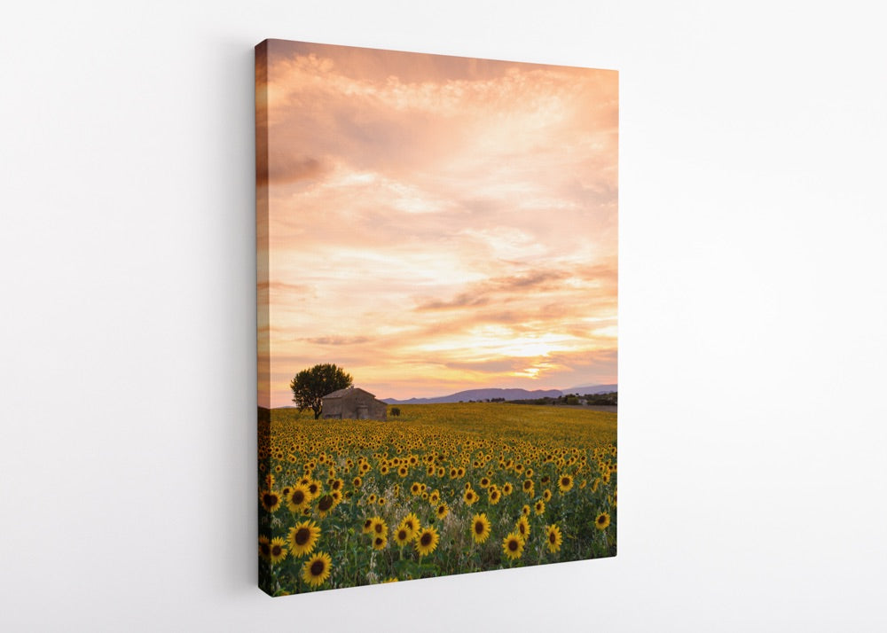 "Plateau du Soleil" | Nature Photography Print