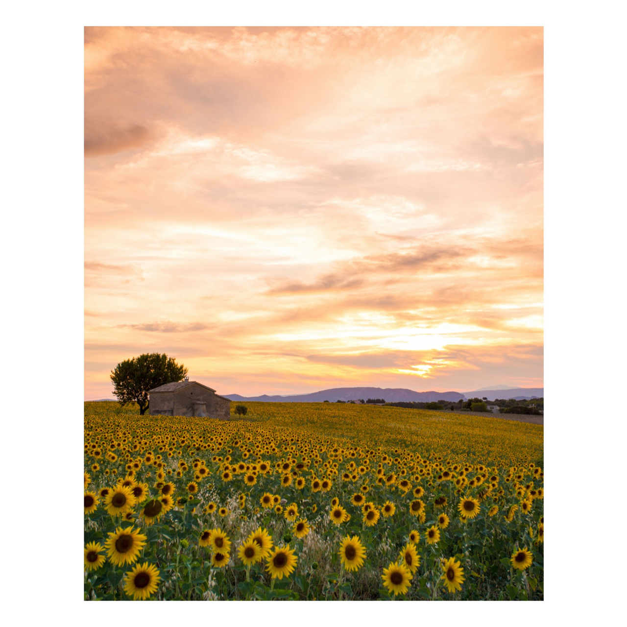 Plateau du Soleil | Aluminum Print