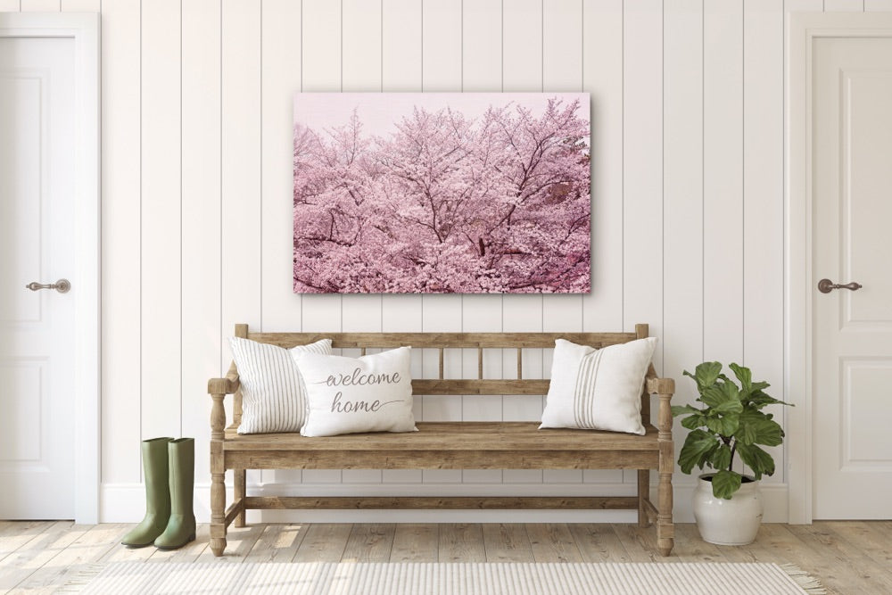 "Pretty in Pink" | Nature Photography Print