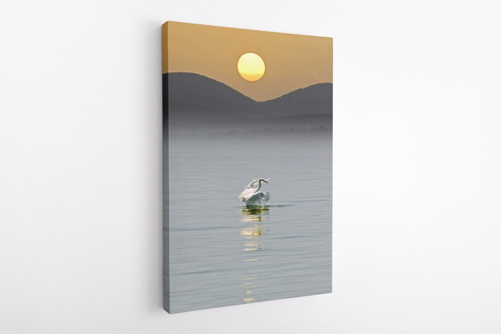 "Sea of Galilee" | Coastal Photography Print