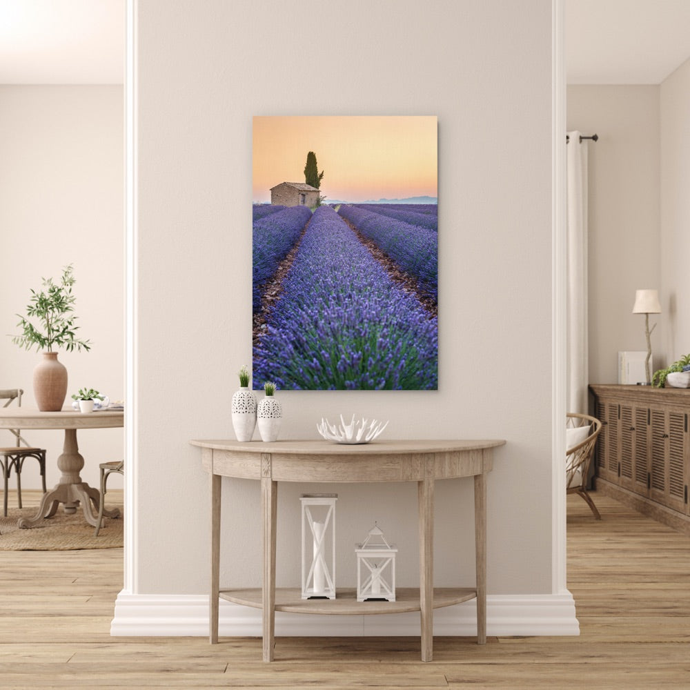 "Stripes of Lavender" | France Photography Print