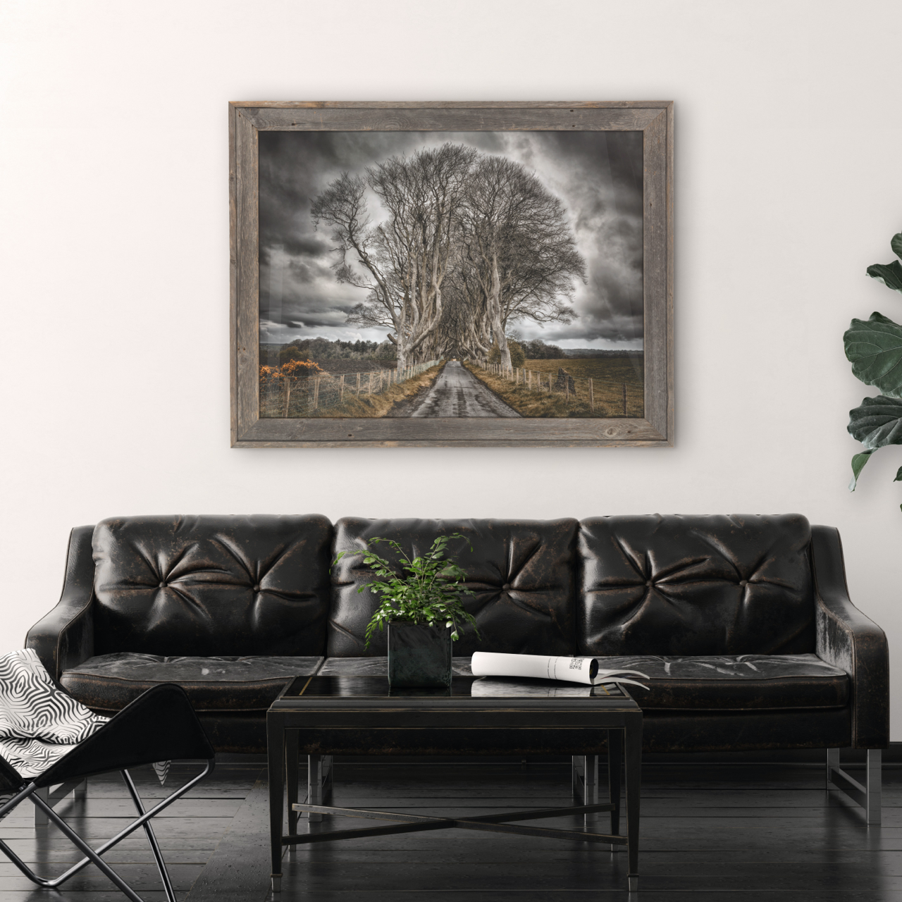 "The Grove" Ireland Black and White Photography Print