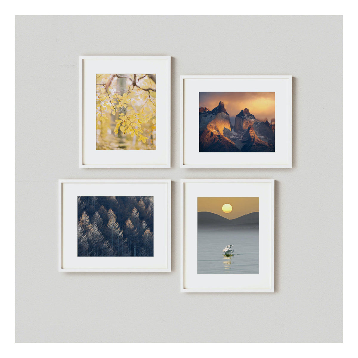 Equinox Gallery Wall  4 Piece Art Set - MK Envision Galleries