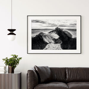 Fine Art Prints - "Affection" | Black & White Horse Photography