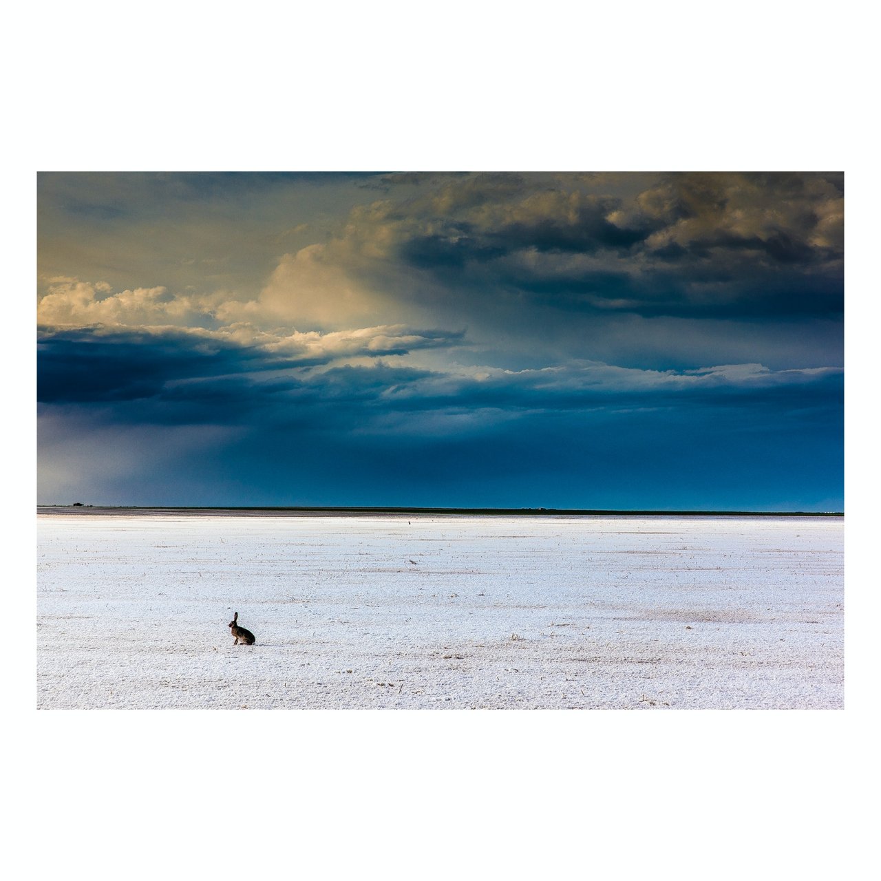 Fine Art Prints - "After The Hailstorm" | Nature Landscape Photography