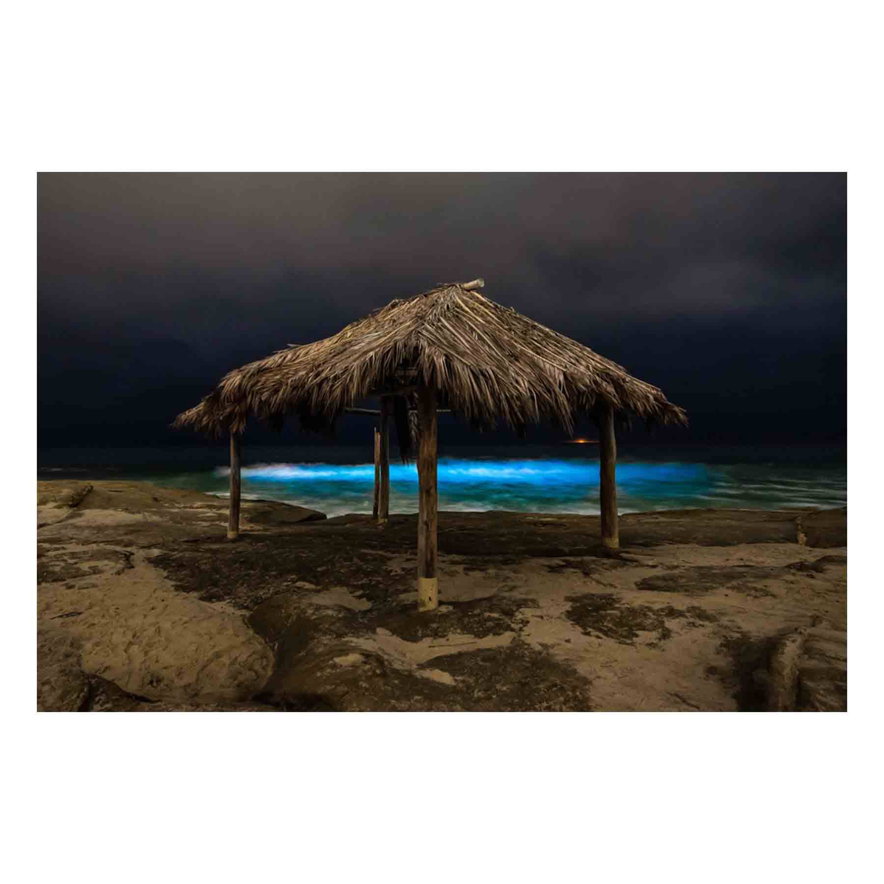 Fine Art Prints - "Bioluminescent Windansea" | Coastal Photography Prints